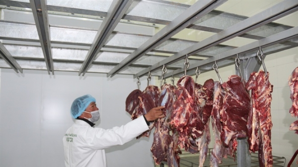 Sớm ban hành tiêu chuẩn quốc gia về thịt trâu, bò mát