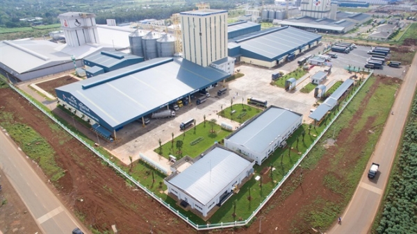 Hạn chế đầu tư nhà máy thức ăn chăn nuôi vùng ĐBSH