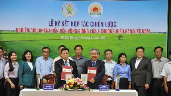 Viện Lúa ĐBSCL và Tập đoàn Lộc Trời ký kết hợp tác chiến lược phát triển lúa gạo