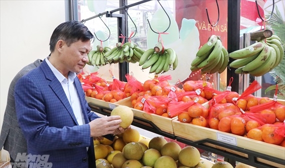 Thái Nguyên: Khai trương cửa hàng nông sản an toàn