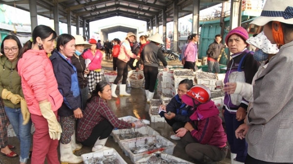 Tăng nguồn thực phẩm thay thế thịt lợn: Hải sản tươi ngon giá không tăng