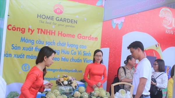 Đặc sản Tây Ninh 'đổ bộ' về Sài Gòn