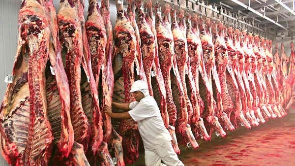 Nhập khẩu thịt lợn và sản phẩm thịt lợn tăng 63% năm 2019
