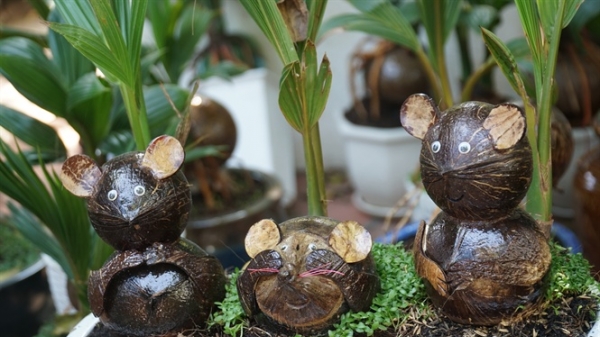 Độc đáo bonsai dừa hình chuột