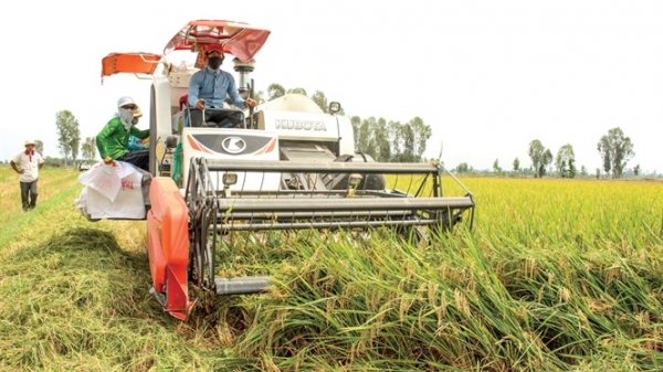 Công nghệ chế biến nông sản Việt Nam ở mức trung bình của thế giới