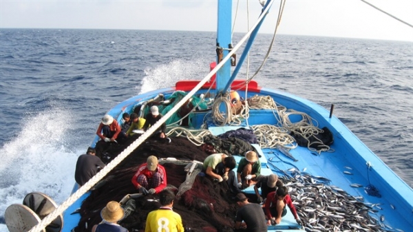 Xử lý nghiêm tàu cá vi phạm vùng biển nước ngoài