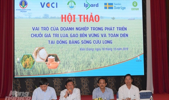 Doanh nghiệp là trung tâm phát triển chuỗi giá trị lúa gạo