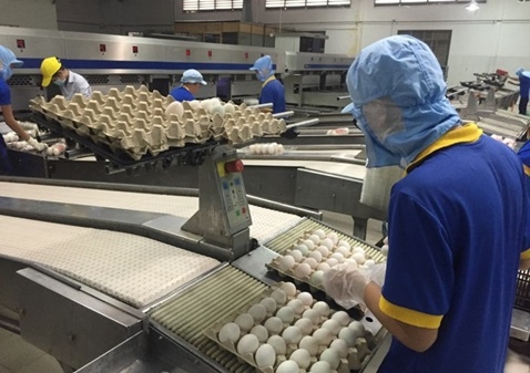 Hồng Kông dỡ bỏ lệnh cấm nhập khẩu thịt và trứng gia cầm từ Việt Nam
