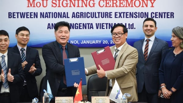 Trung tâm Khuyến nông Quốc gia ký kết hợp tác với Syngenta Việt Nam