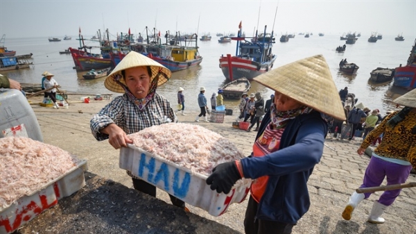 Ước vọng ở làng biển có mật độ dân số cao nhất Việt Nam