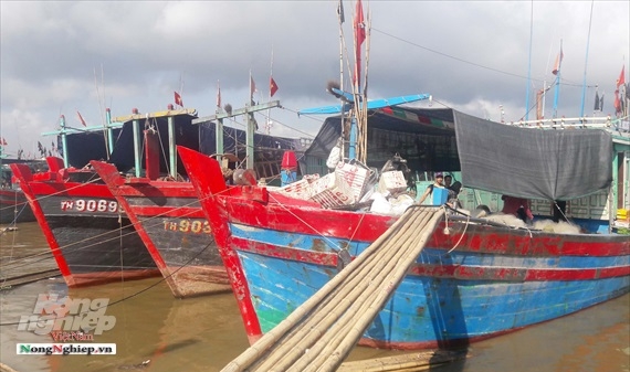 Thanh Hóa: Thành lập Trung tâm Đăng kiểm tàu cá