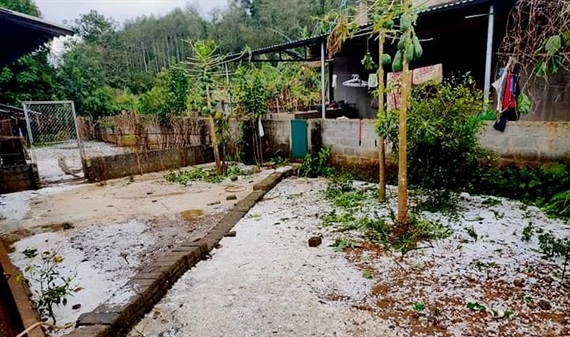 Hà Giang: Mưa đá trên diện rộng gây thiệt hại 0,5 ha rau màu