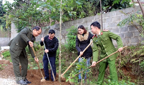 Vườn Quốc gia Cúc Phương ra quân trồng cây đầu năm