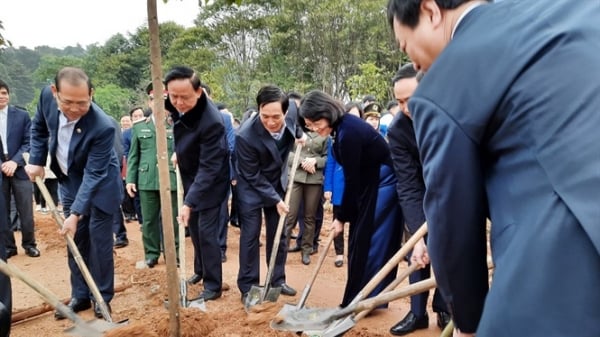 Phó Chủ tịch nước phát động Tết trồng cây tại Di tích lịch sử Đền Hùng