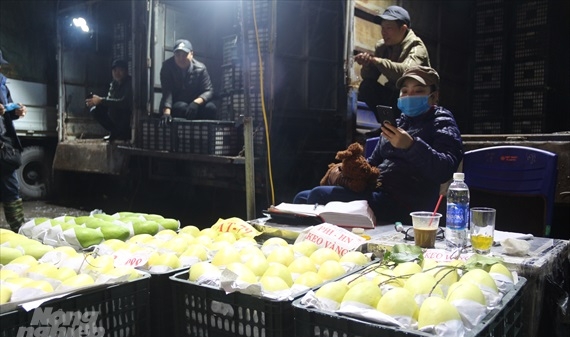 Giữa 'bão' dịch, chợ Long Biên chỉ lác đác vài người đeo khẩu trang