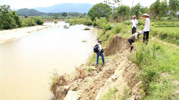 Thủy điện An Khê - Ka Nak xả nước cứu 126ha lúa bị hạn