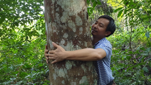 Rừng cây bản địa có một không hai đầu nguồn biên giới Hà Tĩnh