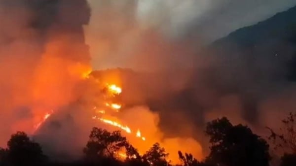 Hơn 700 người khống chế vụ cháy rừng liên huyện ở Hà Tĩnh