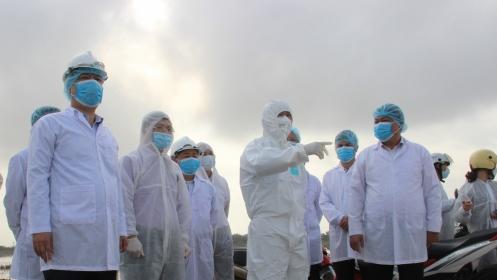 Hải Phòng thừa nhận chậm trễ đối phó với cúm gia cầm A/H5N6