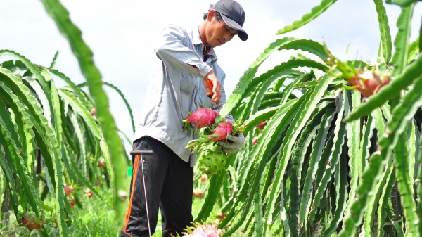 Quốc hội thông qua EVFTA: Nông sản Việt mừng gì, lo gì?