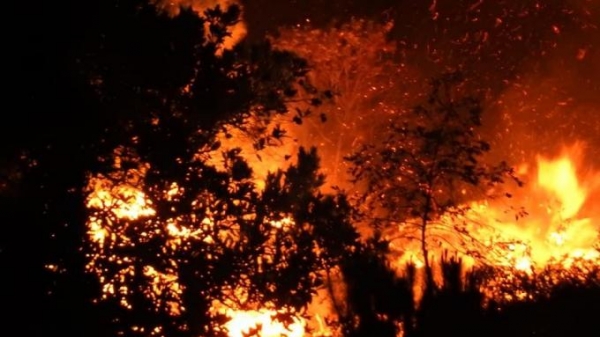 Bộ NN-PTNT đề nghị Nghệ An, Hà Tĩnh điều tra làm rõ nguyên nhân cháy rừng