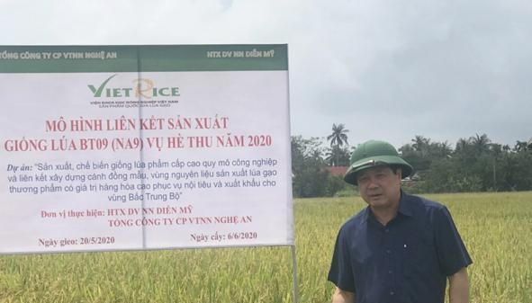 Thứ trưởng Lê Quốc Doanh kiểm tra dự án sản xuất giống lúa phẩm cấp cao