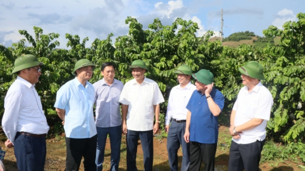 Bộ trưởng Nguyễn Xuân Cường: Sơn La là hiện tượng trong tái cơ cấu nông nghiệp