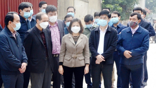 Bắc Ninh không phát hiện virus cúm lợn trong 450 mẫu kiểm tra