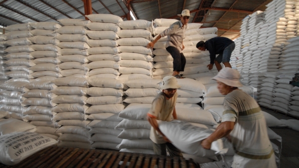Phát lệnh xuất lô gạo 'mở hàng' năm 2021