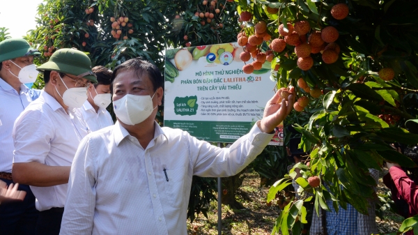 Bộ trưởng Lê Minh Hoan: Khi thấy cụm từ 'giải cứu nông sản', tôi đau lòng!