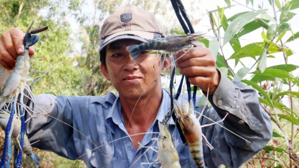 Bàn về phát triển thủy sản Việt Nam