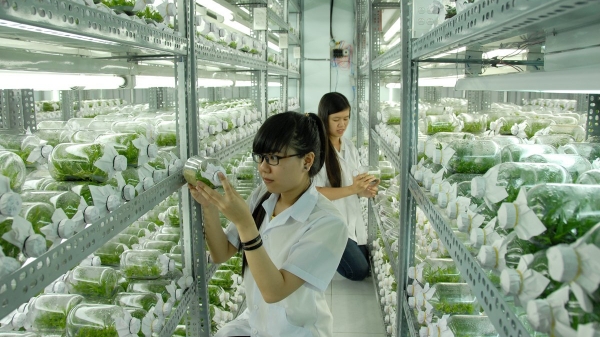 Góp ý đổi mới nghiên cứu khoa học công nghệ nông nghiệp: 5 vấn đề lớn