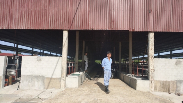 Từ trại lợn Khánh Giang: Hà Tĩnh tạm dừng cấp phép cơ sở chăn nuôi lợn