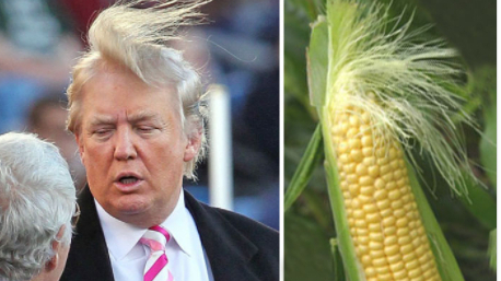 Chính quyền Trump 'bồi thường lố' 3 tỷ USD cho nông dân trồng ngô