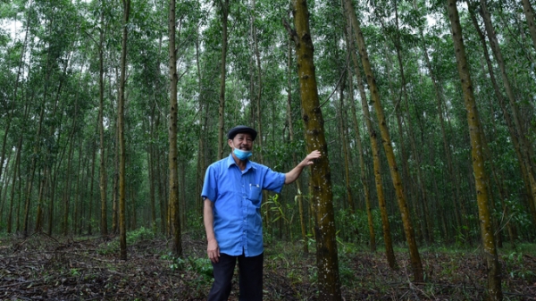 Bảo vệ rừng, phát triển rừng phải đảm bảo đời sống người dân