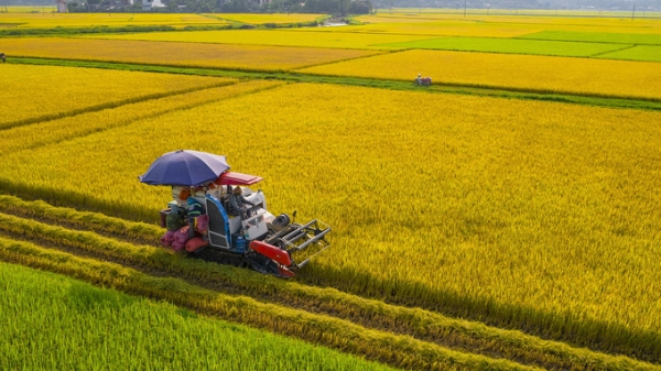 Việt Nam là nhà cung cấp lương thực minh bạch, trách nhiệm, bền vững