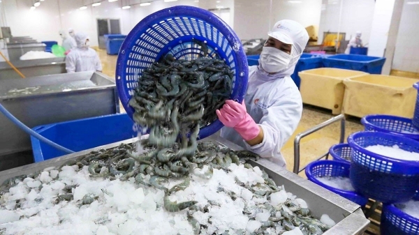 Doanh nghiệp thủy sản phải cắt giảm cả nghìn lao động