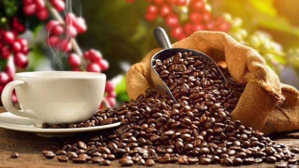 Xuất khẩu cà phê thu về 2,8 tỷ USD