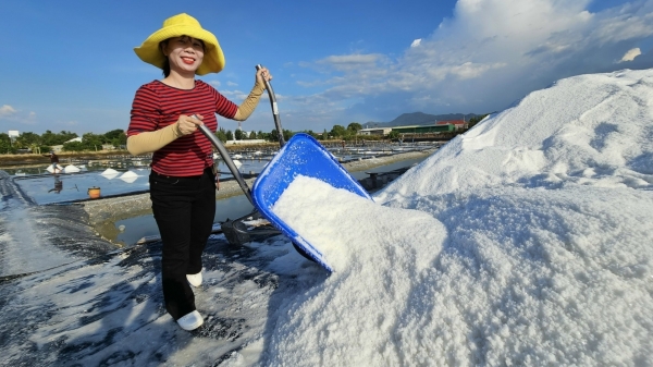 Sản xuất muối sạch trên bạt HDPE giúp năng suất, giá bán tăng gấp đôi