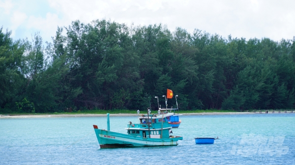Trà Vinh không có tàu cá vi phạm khai thác IUU ở vùng biển nước ngoài