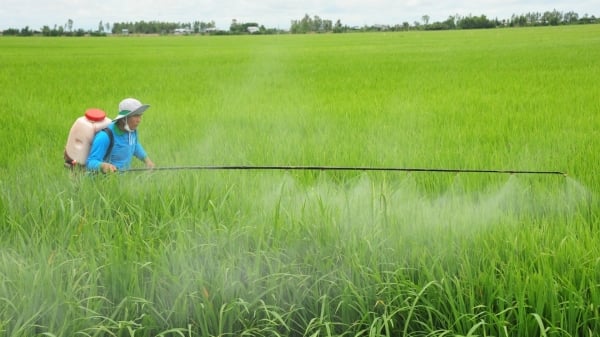 Việt Nam đã có trên 800 tên thuốc bảo vệ thực vật sinh học