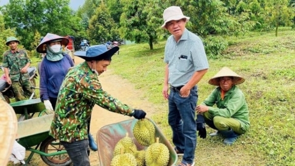 Doanh thu từ trái cây của Hoàng Anh Gia Lai tăng mạnh