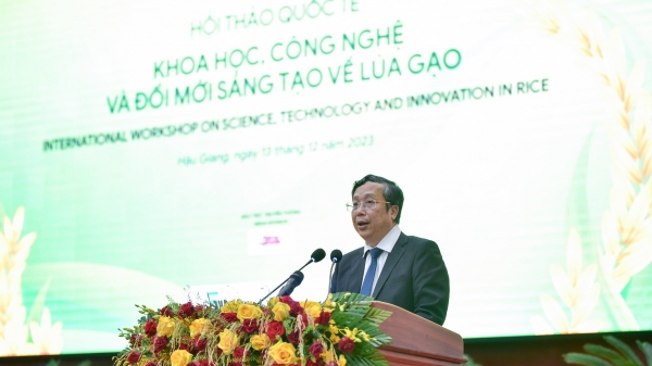 Video Hội thảo Khoa học, Công nghệ và Đổi mới sáng tạo về lúa gạo