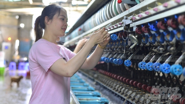 Uzbekistan mong muốn hợp tác với Việt Nam phát triển dâu tằm tơ