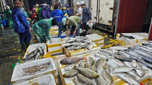 Nhộn nhịp chợ đêm đón tàu cá về Tết