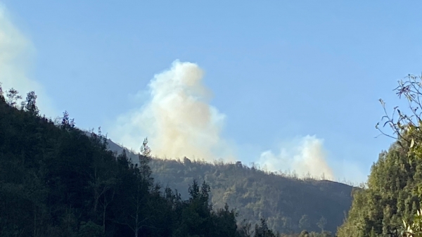Khoanh 25 ha rừng để dập đám cháy ở Vườn quốc gia Hoàng Liên