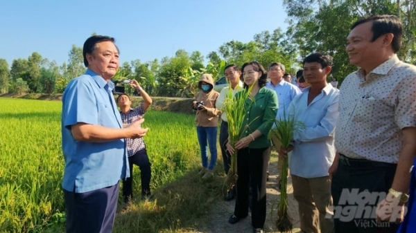 Bộ trưởng Lê Minh Hoan: Hợp lực tìm giải pháp thay vì ngồi than