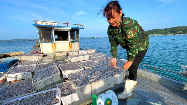 Lễ hội Mở cửa biển lần đầu tổ chức ở xã đảo Thanh Lân