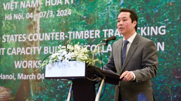 Nâng cao năng lực chống buôn bán gỗ trái phép tại Việt Nam