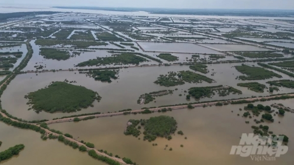 Thái Bình giữ lại 12.500ha khu bảo tồn đất ngập nước Tiền Hải